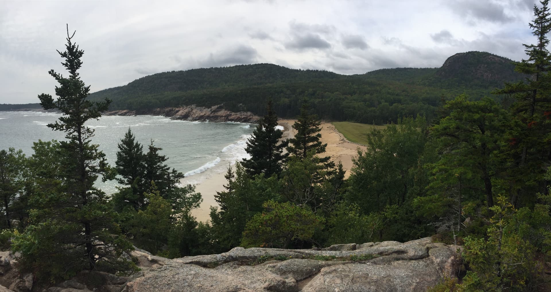 A quiet coastal cove at Acadia — evergreens, rock, and calm water under a soft sky
