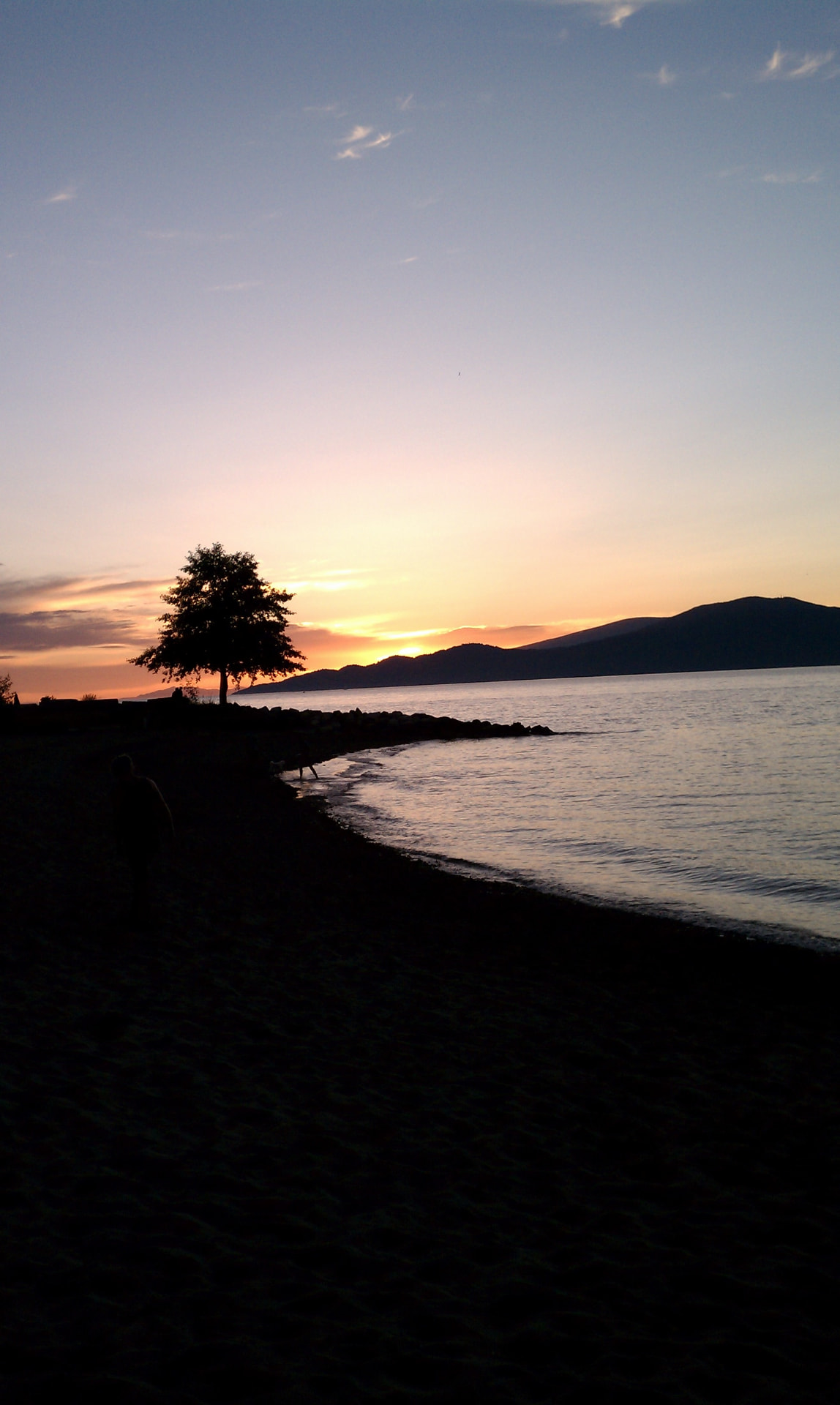 A still lake at dusk — a lone tree silhouetted against a warm horizon glow